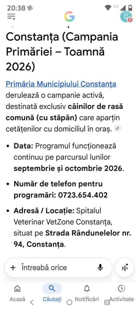 Campanie Constanța