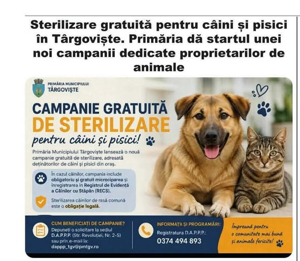 Campanie Târgoviște