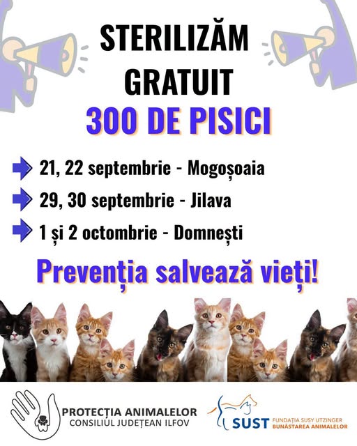 Campanie Domnești