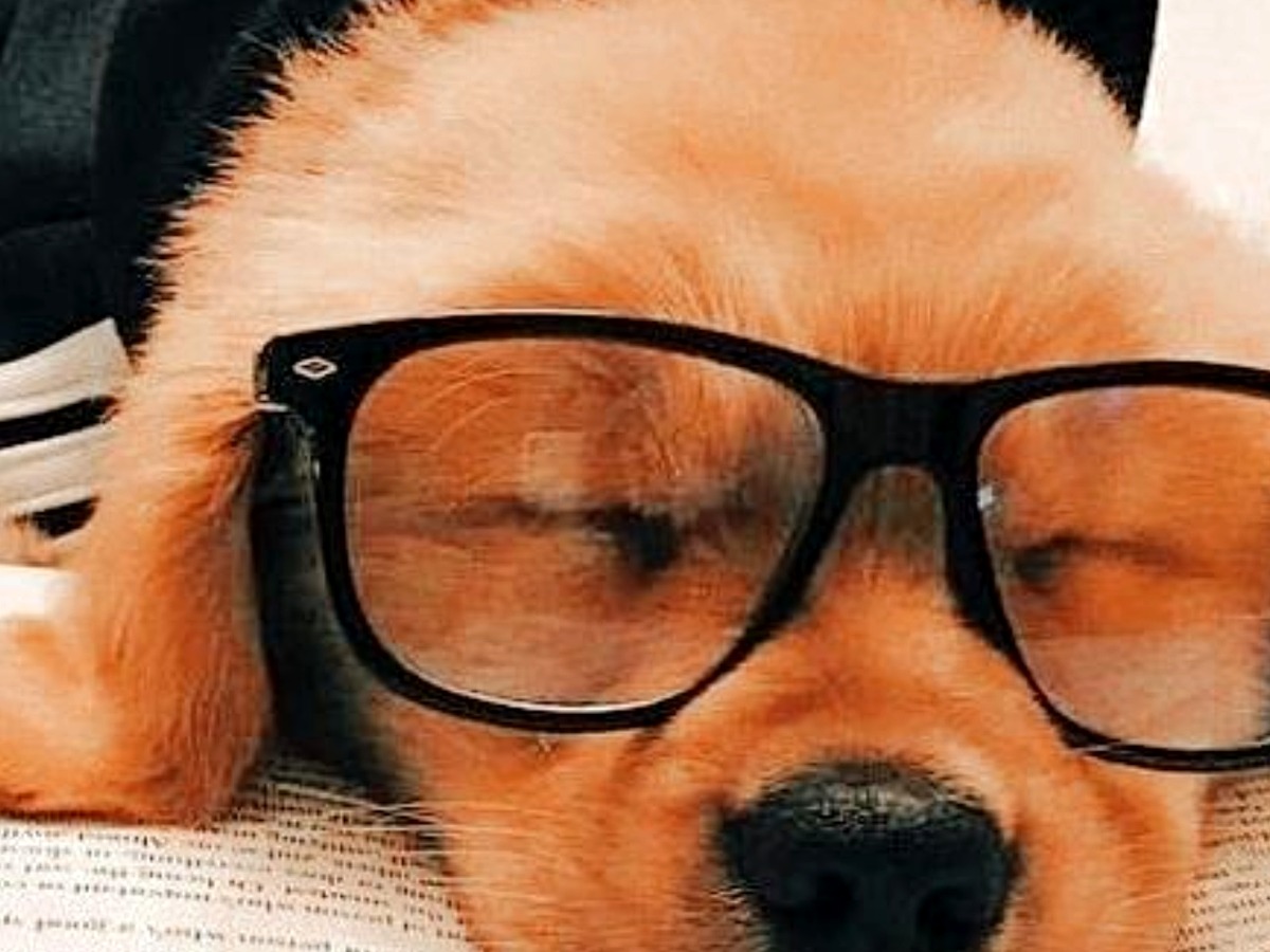 EU-Adopt